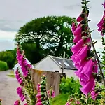 Foxglove Casa vacanze *
