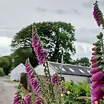 Casa vacanze Foxglove