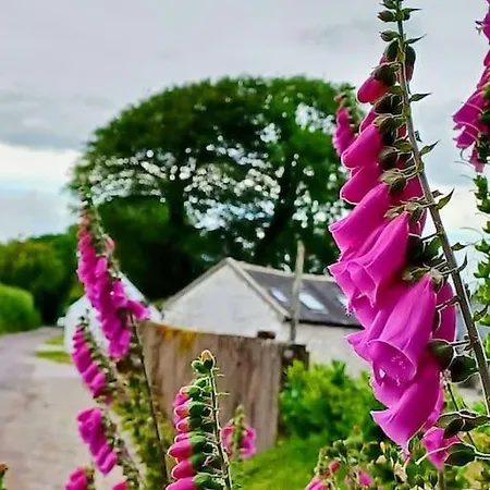 Foxglove Σπίτι διακοπών *