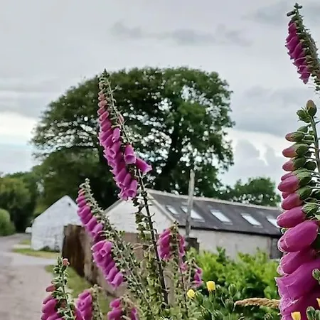 Σπίτι διακοπών Foxglove
